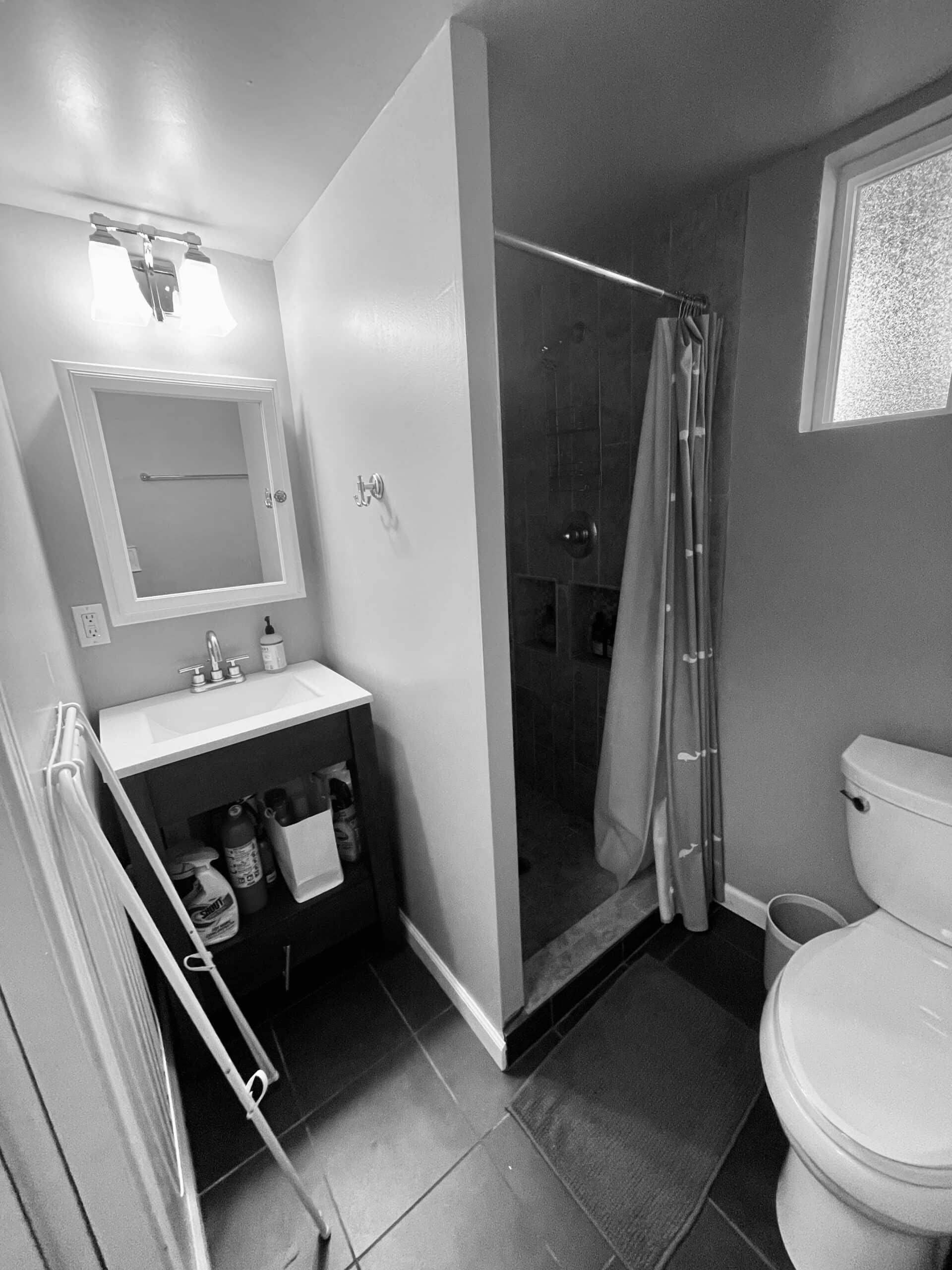 Compact bathroom with shower, toilet, and small vanity in a backyard studio.