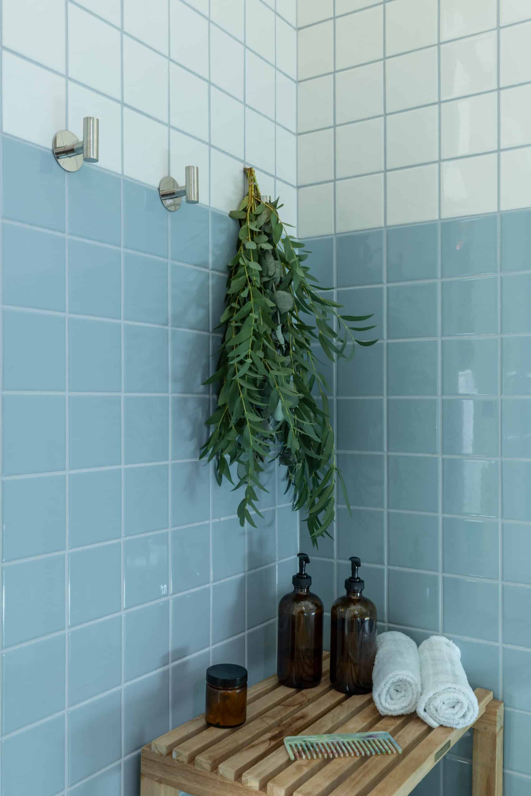 Shower with hanging green plant and bathroom accessories in a tiled space.