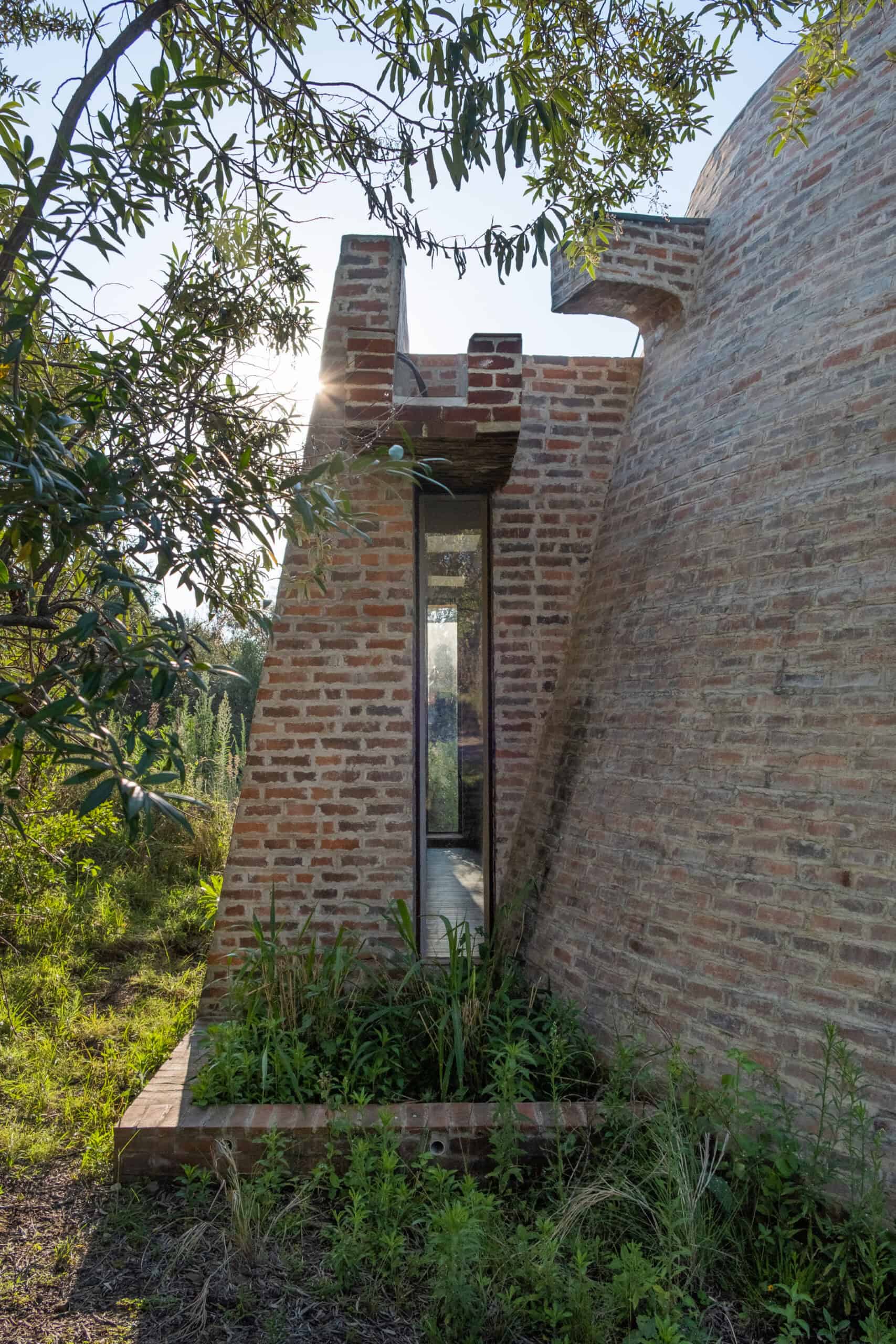 Modern brick architectural detail with greenery and natural light.